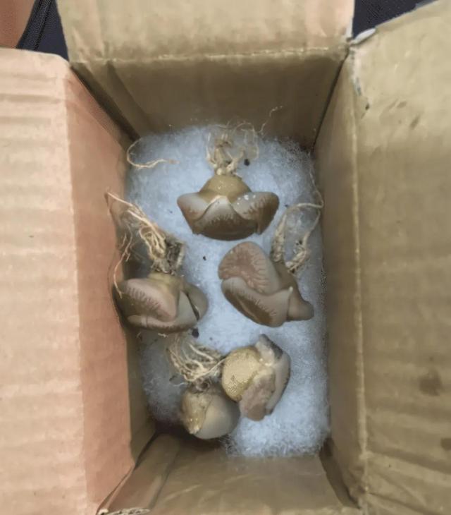 “我怀疑前租户是一位富婆,有没有专业人士帮忙鉴定一下?”哈哈 “我怀疑前租户是一位富婆,有没有专业人士帮忙鉴定一下?”哈哈