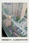 不勇敢些怎能证明你