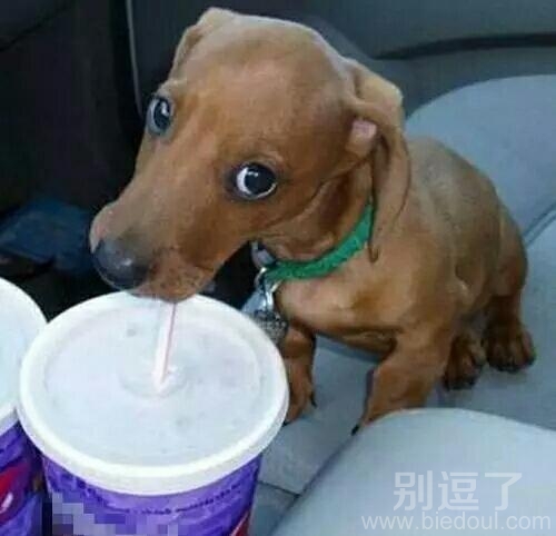 个人喝个人的，你别看我