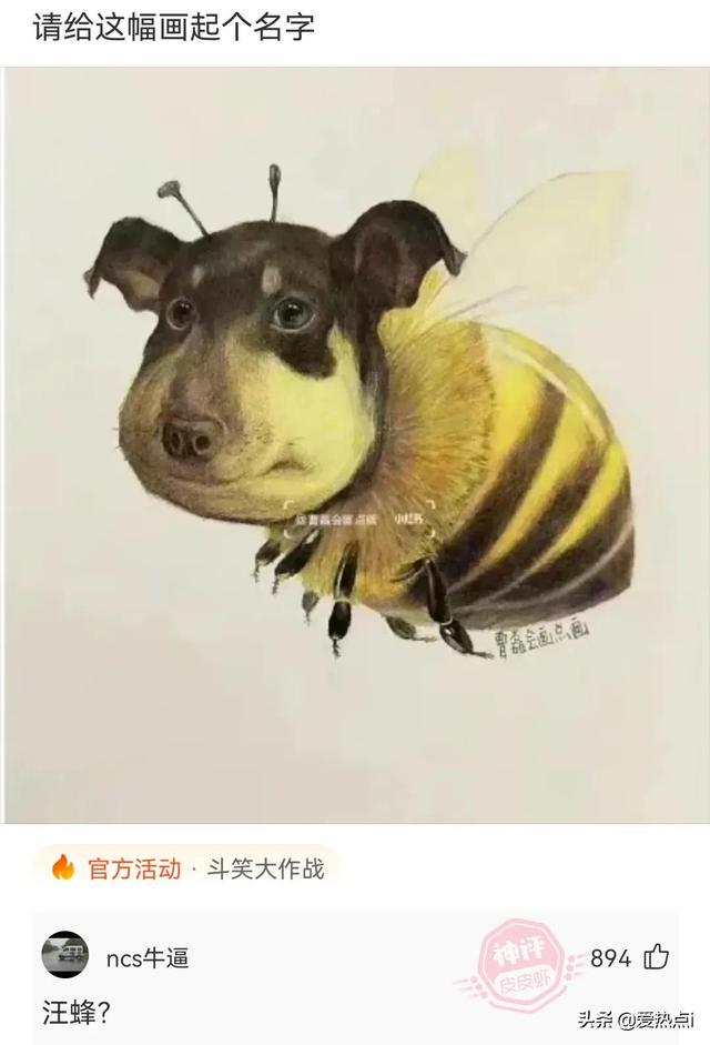 神评:其实女生并不是抓不住重点!哈哈 神评:其实女生并不是抓不住重点!哈哈