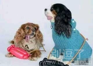 叫上闺蜜一起去逛街