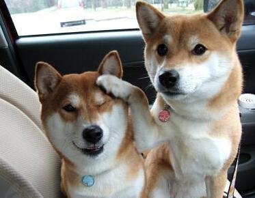 宝贝你要乖啊 宝贝你要乖啊