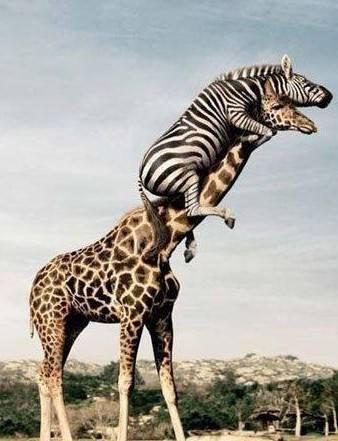 站得高才能望得远 站得高才能望得远