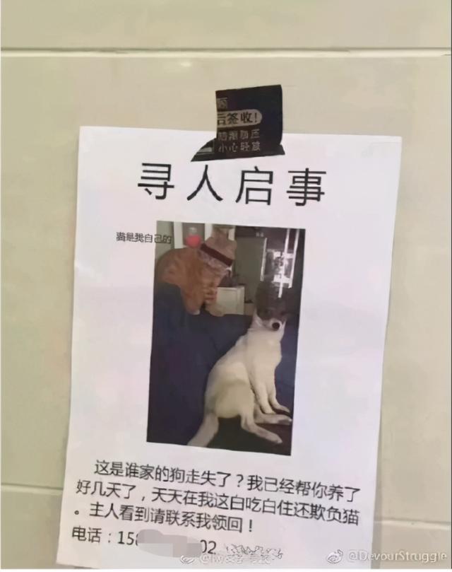 我买的壁虎越养越大,我差点被一口吃掉了,我是不是被骗了? 我买的壁虎越养越大,我差点被一口吃掉了,我是不是被骗了?