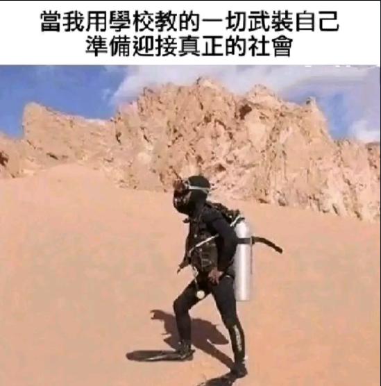 我买的壁虎越养越大,我差点被一口吃掉了,我是不是被骗了? 我买的壁虎越养越大,我差点被一口吃掉了,我是不是被骗了?