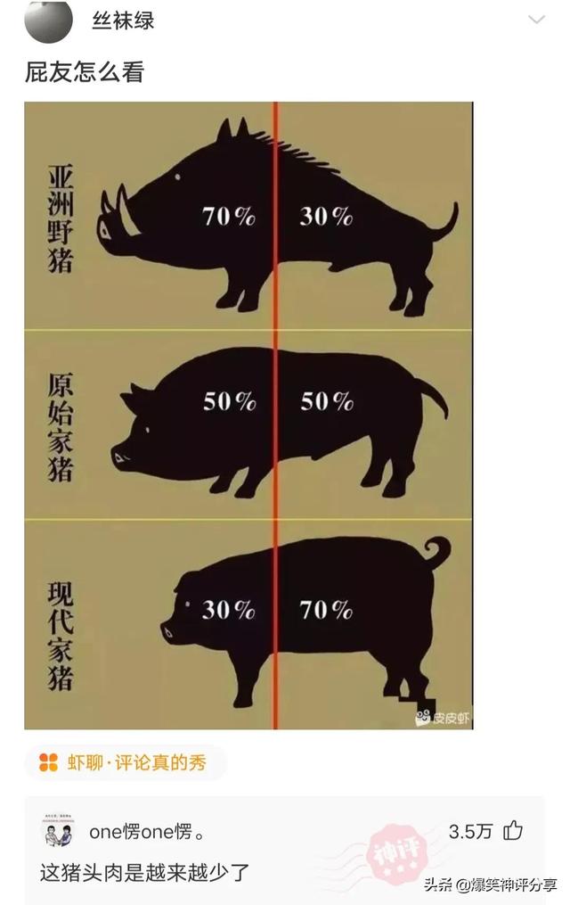 神评分享:你网购的圆珠笔和数据线,有可能是阿凡亲手制作的 神评分享:你网购的圆珠笔和数据线,有可能是阿凡亲手制作的