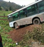 4G果然冲得快 4G果然冲得快