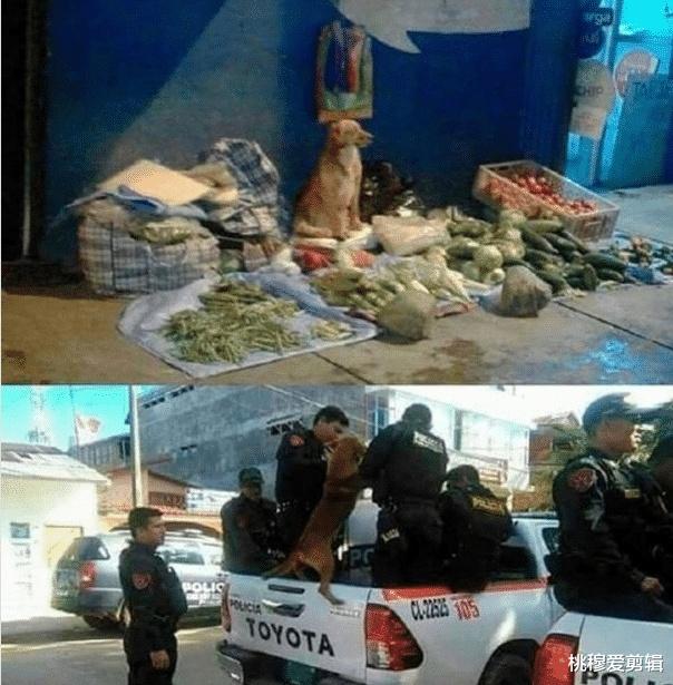 一所技校很乱,究竟可以乱到什么程度? 一所技校很乱,究竟可以乱到什么程度?
