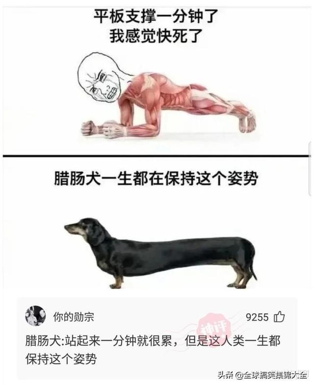 神回复:和女同学出去玩,接下来该干什么啊? 神回复:和女同学出去玩,接下来该干什么啊?