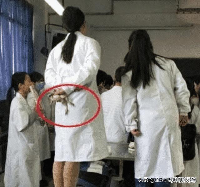 神回复:和女同学出去玩,接下来该干什么啊? 神回复:和女同学出去玩,接下来该干什么啊?