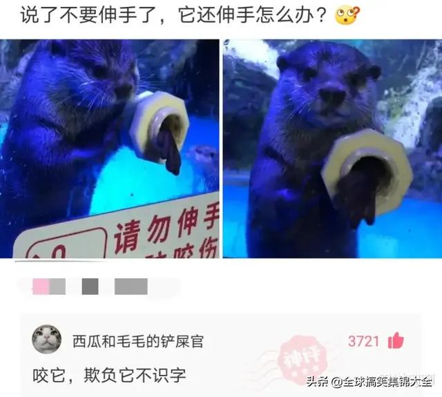 神回复:和女同学出去玩,接下来该干什么啊? 神回复:和女同学出去玩,接下来该干什么啊?