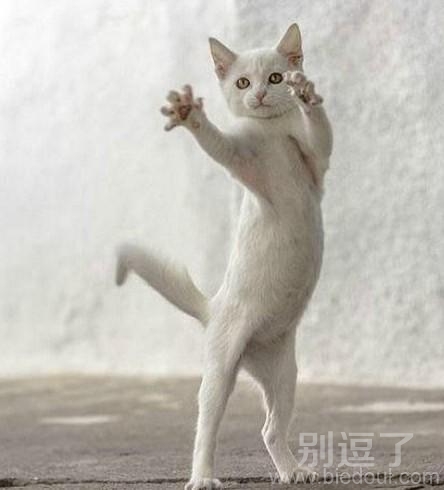颤抖吧人类