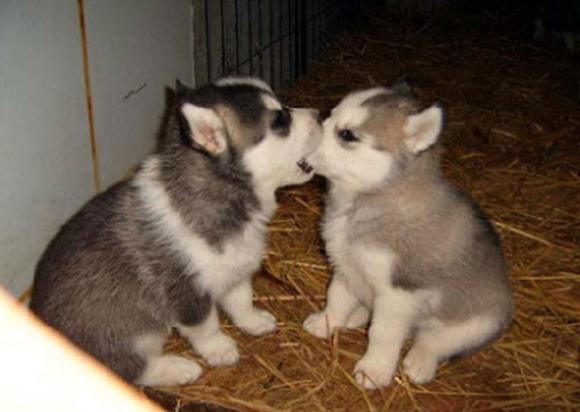 初吻,比较没什么经验啦 初吻,比较没什么经验啦