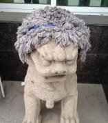妈的 下辈子老子咬死你