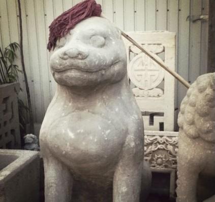 被实习理发师理发之后