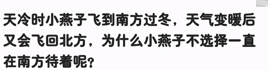 “如果你被严刑逼供,哪关你会投降?”哈哈哈哈吃不了苦 “如果你被严刑逼供,哪关你会投降?”哈哈哈哈吃不了苦