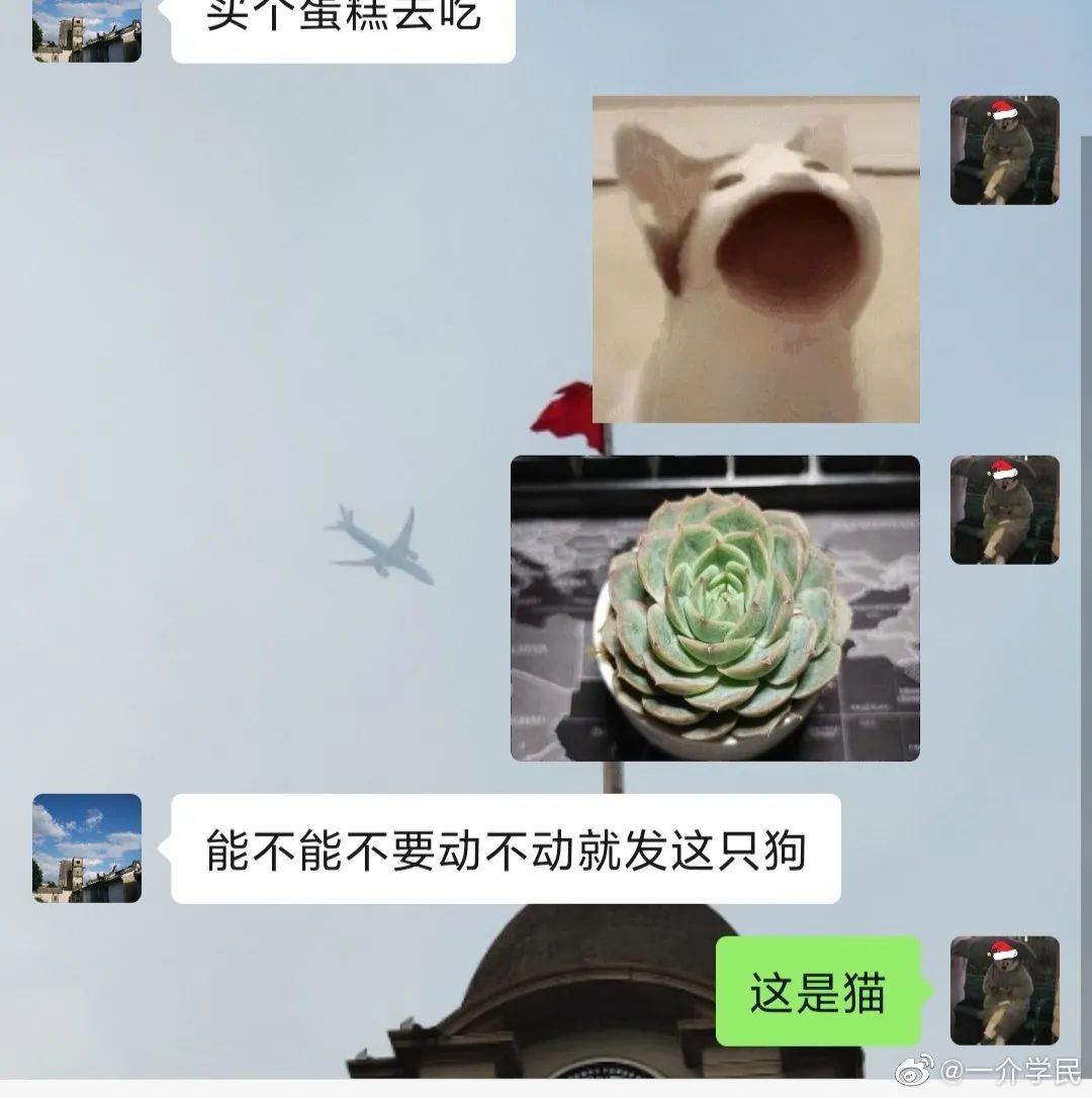 “手滑把男友表情包发给暧昧对象…”哈哈哈窒息了 “手滑把男友表情包发给暧昧对象…”哈哈哈窒息了