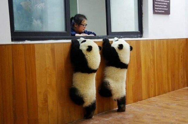 被老妈拉去相亲，见女方是我瑜伽老师，我脑子一抽