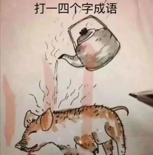 被老妈拉去相亲，见女方是我瑜伽老师，我脑子一抽