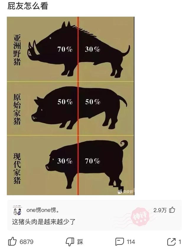 神回复:可以和后妈的女儿结婚吗?法律允许吗? 神回复:可以和后妈的女儿结婚吗?法律允许吗?