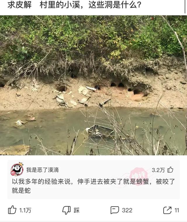 神回复:可以和后妈的女儿结婚吗?法律允许吗? 神回复:可以和后妈的女儿结婚吗?法律允许吗?