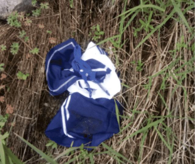 爆笑神评合集:早上在公园发现的,难道发生了一场大战?很激烈啊 爆笑神评合集:早上在公园发现的,难道发生了一场大战?很激烈啊