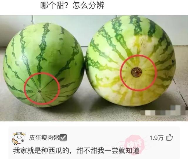 爆笑神评合集:早上在公园发现的,难道发生了一场大战?很激烈啊 爆笑神评合集:早上在公园发现的,难道发生了一场大战?很激烈啊