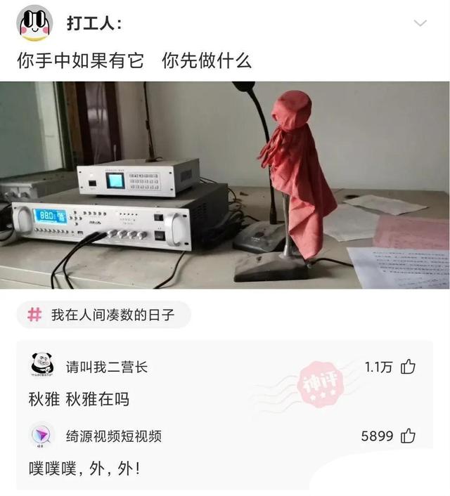 爆笑神评合集:早上在公园发现的,难道发生了一场大战?很激烈啊 爆笑神评合集:早上在公园发现的,难道发生了一场大战?很激烈啊