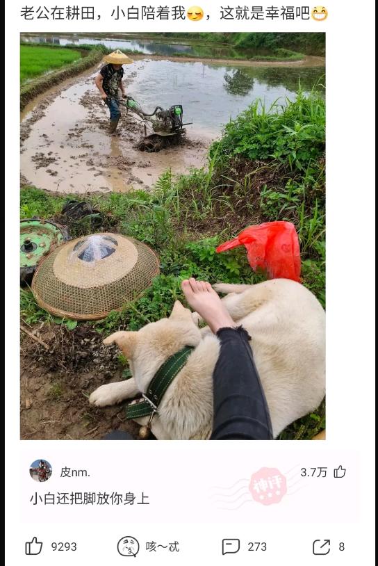 好兄弟奔现成功了,看着脚下的自行车,我不懂我到底输在哪里? 好兄弟奔现成功了,看着脚下的自行车,我不懂我到底输在哪里?