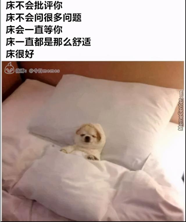 好兄弟奔现成功了,看着脚下的自行车,我不懂我到底输在哪里? 好兄弟奔现成功了,看着脚下的自行车,我不懂我到底输在哪里?