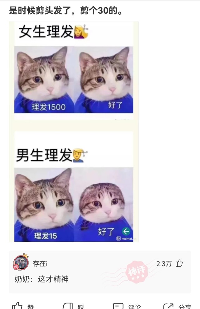 神回复:这种女的怎么想的,一天到晚在朋友圈发自拍,以为自己很美一样 神回复:这种女的怎么想的,一天到晚在朋友圈发自拍,以为自己很美一样