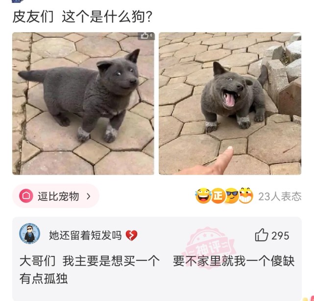 神回复:这种女的怎么想的,一天到晚在朋友圈发自拍,以为自己很美一样 神回复:这种女的怎么想的,一天到晚在朋友圈发自拍,以为自己很美一样