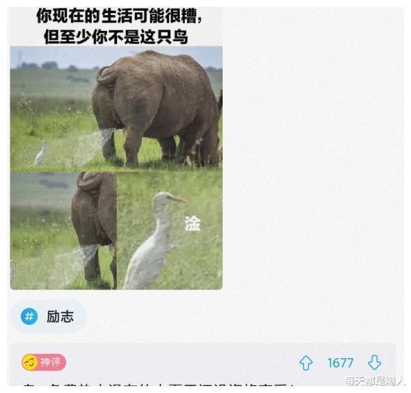 神回复:全网吧的电脑都死机了,唯独写论文的电脑没死机,兄弟你赢了 神回复:全网吧的电脑都死机了,唯独写论文的电脑没死机,兄弟你赢了