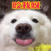 你到底 爱不爱我