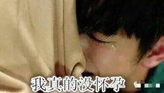 你们的指挥怀孕了 你们的指挥怀孕了
