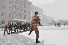 你们毁了兵哥哥在我心中的高大形象