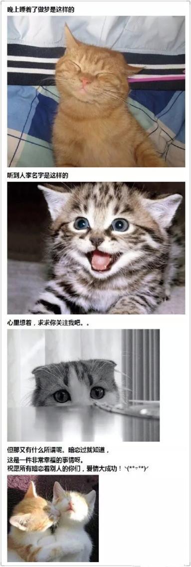 梦中的我是这样的 梦中的我是这样的