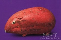 搞笑图片小老鼠 搞笑图片小老鼠