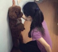 主银你不要酱紫