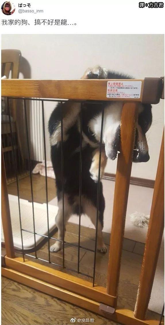 “平胸的女生也太惨了吧!”网友:真让人心疼… “平胸的女生也太惨了吧!”网友:真让人心疼…