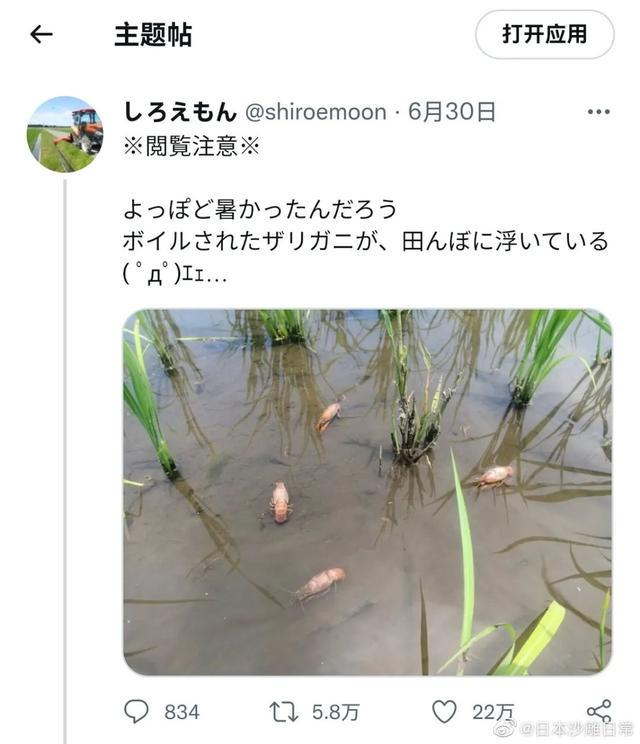 “平胸的女生也太惨了吧!”网友:真让人心疼… “平胸的女生也太惨了吧!”网友:真让人心疼…