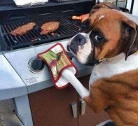 你什么时候学会的呀 你什么时候学会的呀