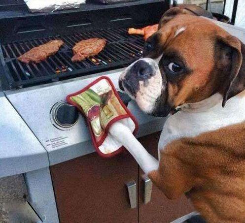 你什么时候学会的呀 你什么时候学会的呀