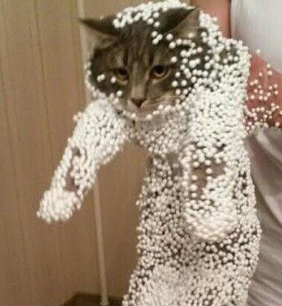 痛苦的说不出话 痛苦的说不出话