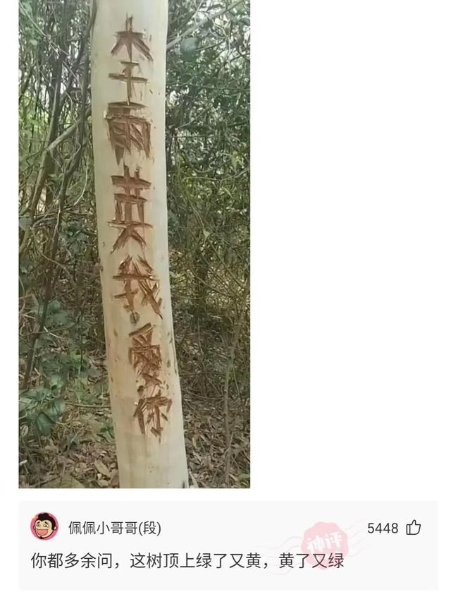 神回复:朋友们有一个解酒非常快的药叫什么了?急急急 神回复:朋友们有一个解酒非常快的药叫什么了?急急急