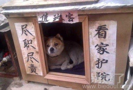 二逼主人给弄的值班室