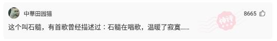 神回复:你俩绝配,正好一个圆的,一个方的,孩子就叫元芳吧 神回复:你俩绝配,正好一个圆的,一个方的,孩子就叫元芳吧