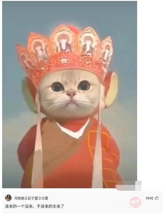 神回复:廉价又有饱腹感的食物是什么?神评竟然是全国统一 神回复:廉价又有饱腹感的食物是什么?神评竟然是全国统一