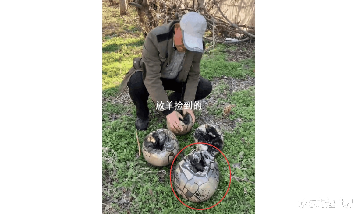 “我在山上捡到4个奇葩巨蛋,仔细一看兴奋不已”,哈哈哈! “我在山上捡到4个奇葩巨蛋,仔细一看兴奋不已”,哈哈哈!