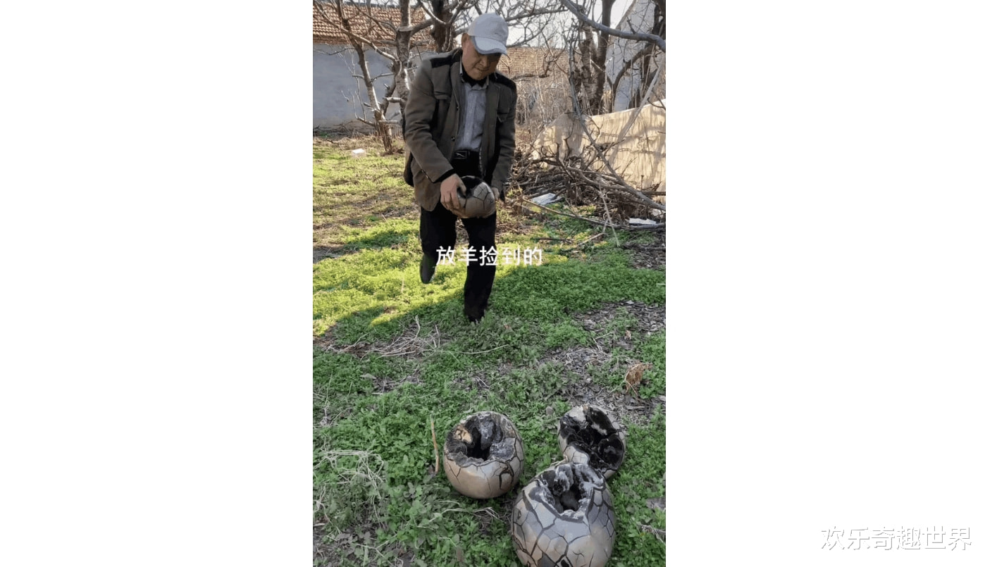 “我在山上捡到4个奇葩巨蛋,仔细一看兴奋不已”,哈哈哈! “我在山上捡到4个奇葩巨蛋,仔细一看兴奋不已”,哈哈哈!